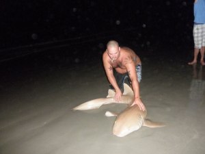 All the major networks called me and asked that I not wait another day to show the second pic (okay, I couldn't wait) of my friend Jeremy's fishing reward.  I believe it's not a horseshoe shark but a Nurse Shark.  Caught around August of 2010 not far from Lori Wilson and the old Holiday Inn.