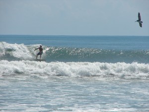 Image 2 of 3, Mike on a shoulder high left, Thursday September 15th, 2011, Tropical Storm Maria, photo by Art
