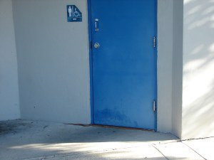 New Security for the restrooms at 16th street park. (a Harmless Red Rat Snake)