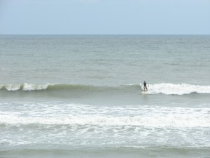 Image 1 of 3, Satellite Beach, waist high right