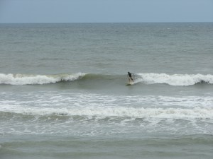 Image 2 of 3, Satellite Beach