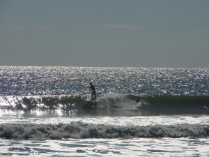 John, trimming the top of a mid-morning gem, Image 2 of 3 shot sequence. Photo by oldwaverider