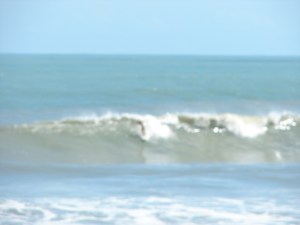 Pefect glassy face, and as you can see, she was about 5' 8 (we saw her walk down the boardwalk), and she still has 6 or 7 feet more to go to the bottom of the wave.  Sorry, I blew it on the focus, so only 3 pics will I show out of all 150 taken.