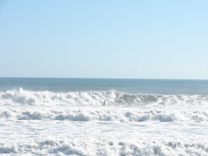 Nice perhaps double overhead on the dropin face.  Image 1 of 3 in sequence.  Hightowers, Satellite Beach. November 10 2011 , ENE ground swell.  Photos by oldwaverider.