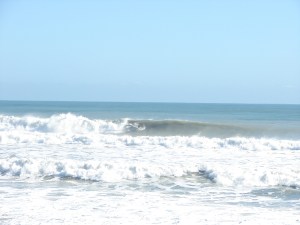 Image 2 of 3 sequence.  Quest for a little sunlight blockage.