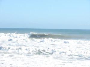 Some nice coverage, but the roof was coming in early so he took an early exit on image 4, so I skipped that one. Image 3 of 3 at Hightowers on November 10 2011