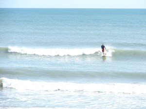 Image 7 of 7 in the ride to the beach, almost.  Wednesday, November 23 2011 Photos by oldwaverider