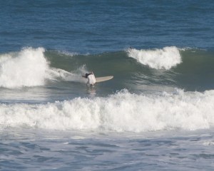 Kaplunk!   I call it, my Bad Back Bend on the frame before.  Whenever I favor my blown disc and I hit a ripple on the face, Kaplunk!  haha,  Image 7 of 7.  Oh well, I had some other fun ones to last a little longer :)