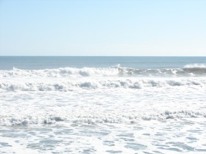 Image 6 of 7 shot, Satellite Beach