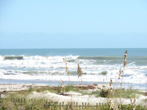 Back up to the top :)  Image 3 of 5 sequence.