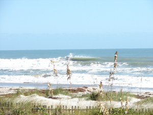 Funny thing was, these 5 shots took place in 3 seconds.  Image 5 of 5