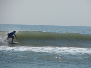 Sunny, image 3 of 3.