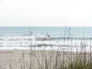 Sunny, image 2 of 5 sequence.