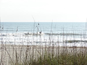 He dun milked it for all its worth, image 5 of 5