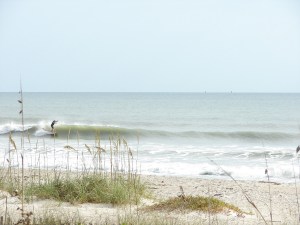 Well it don't look like he's gonna climb past the peak, but he definitely got the best place for speed !  Image 5 of 5 shot sequence, Ron, Feb. 22 Wednesday morning.