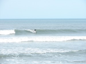 This old-timer is a regular here.  He know right where to hang, to milk it for all it's worth.  Image 1 of 7 shot sequence.  Satellite Beach