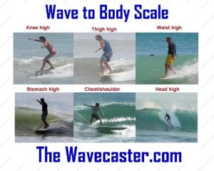Here is thewavecaster.com  wave height scale chart.