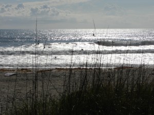 Lacey cruising along on one of those rare days of the year.  The whole neighborhood was out. Image 5 of 10 sequence.