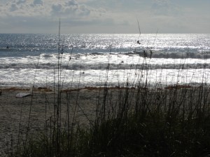 Image 6 of 10 in sequence.  The Sea Oats and the Sun competing for the Lens :) 