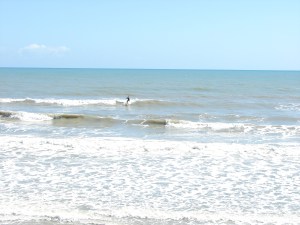 There were some chest high waves today and very fun for a longboard at Hightowers.