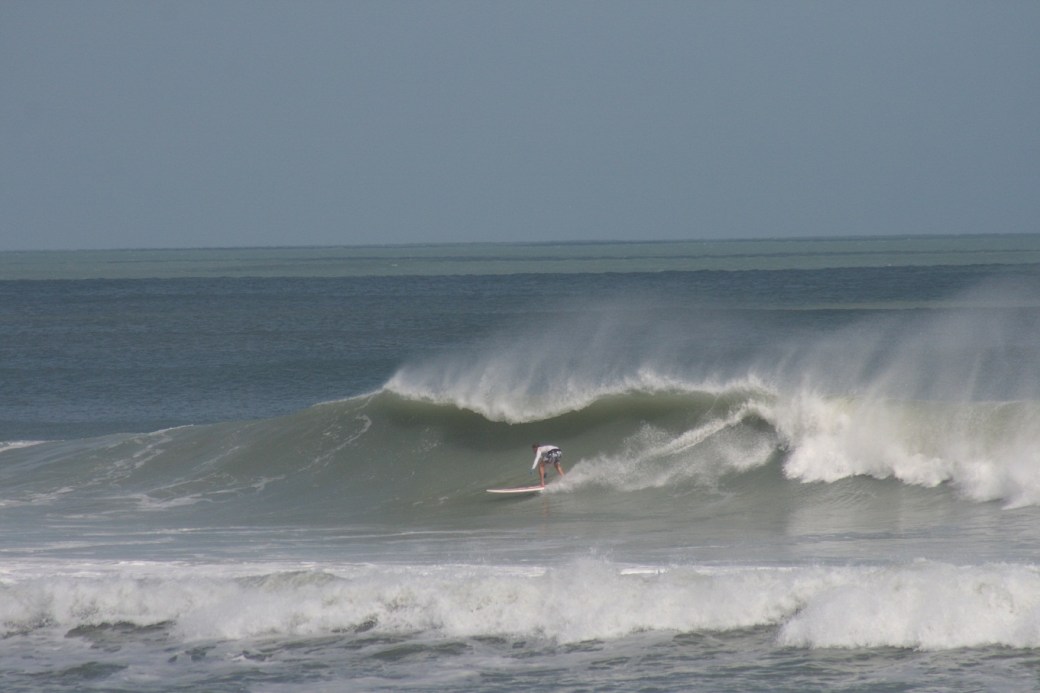 Image 4 of 4, Oldwaverider at Hightowers.