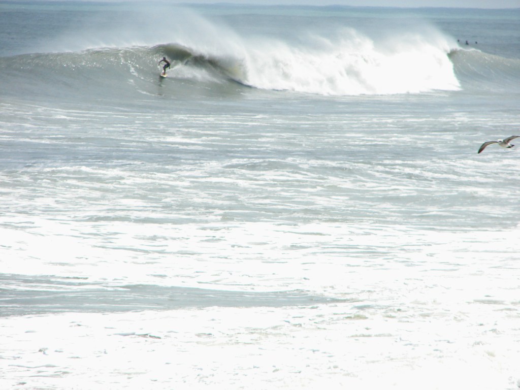 Typical size that we saw today in Satellite Beach
